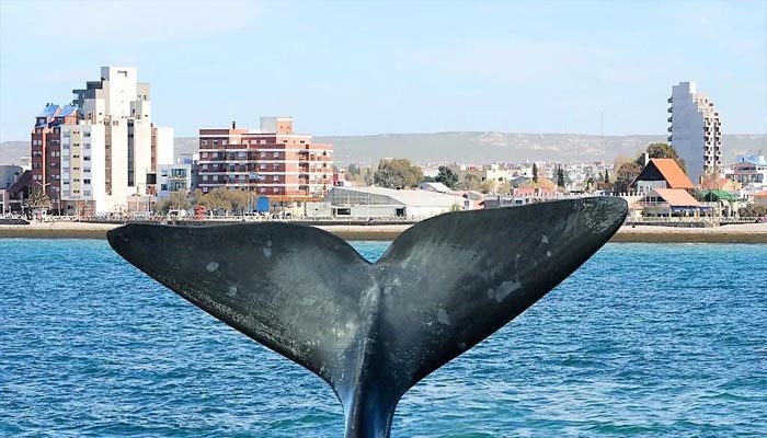 Puerto Madryn